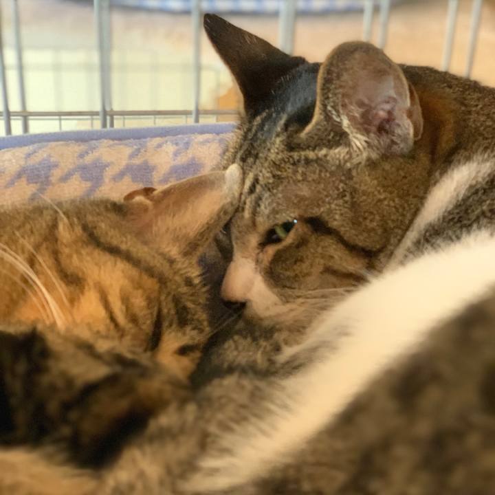 5b0856ab 2c95 4fc3 9e2b a5ea1b67c1ce 1600046046468