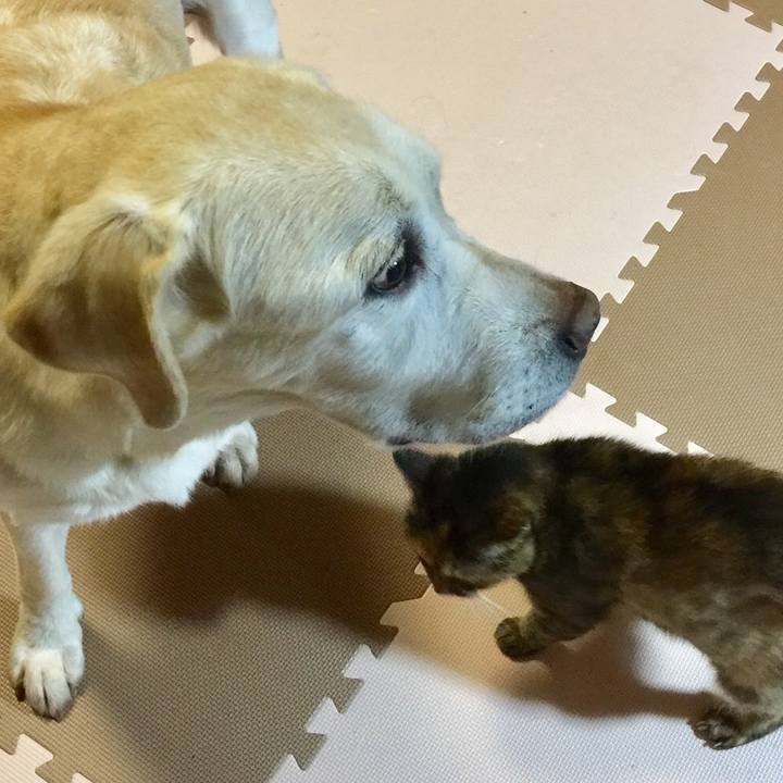 5b086e12 4ea6 4a0b 8dfb 58a3ccfd308e 1538856859740