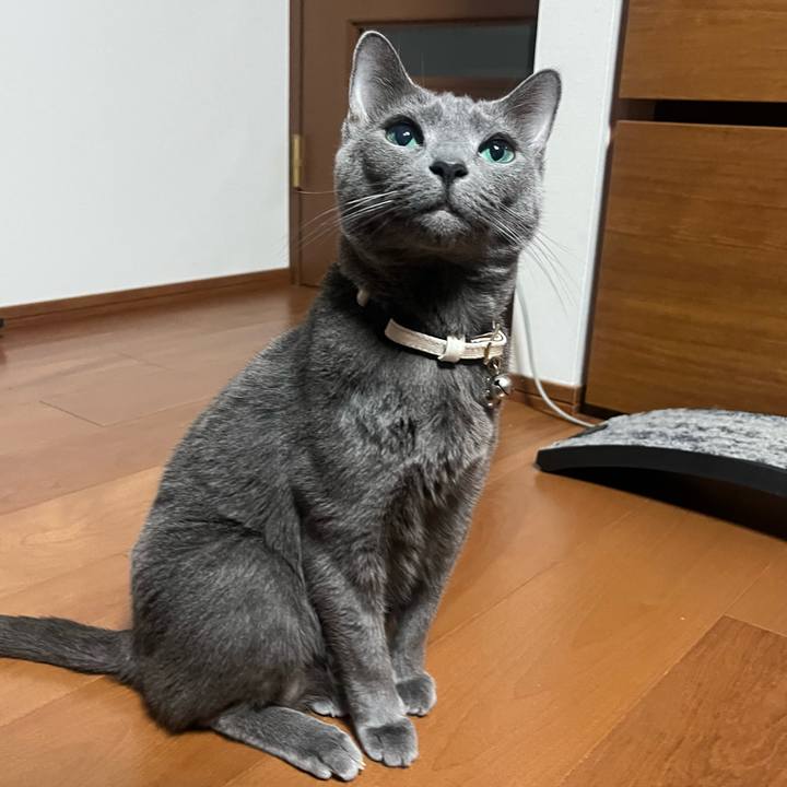 5b08961a 2bfb 4933 bd17 54647fcc2036 1743860694945