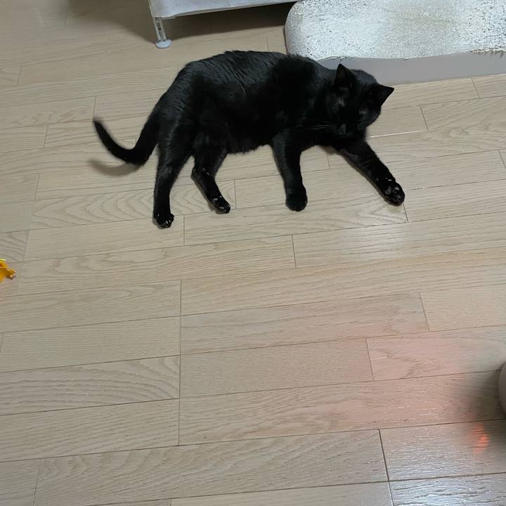 5b08b1d6 9a40 4cd9 bb64 70698bbb0629 1738326296885