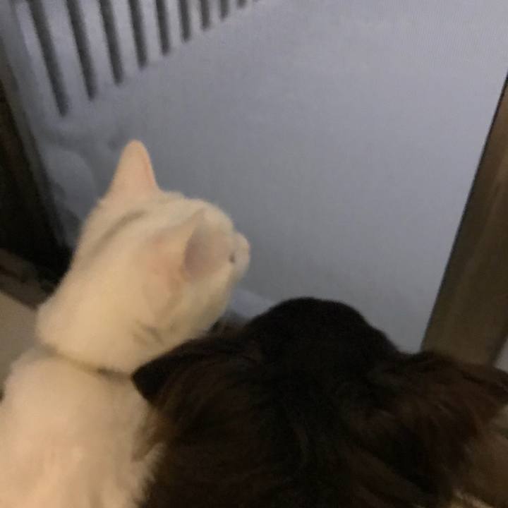 5b08be86 b2ad 4388 85cd d6b9b7a3b0cb 1516611559742