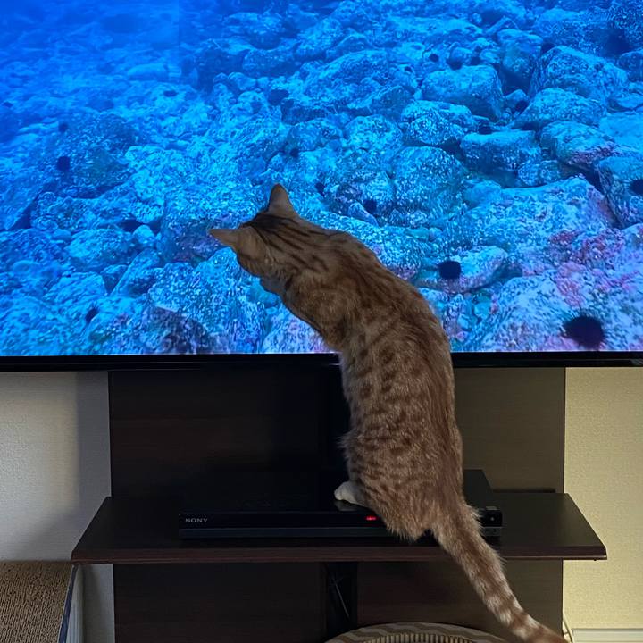 5b08c420 b3ce 4e3c 9fab df707998de03 1643497008595