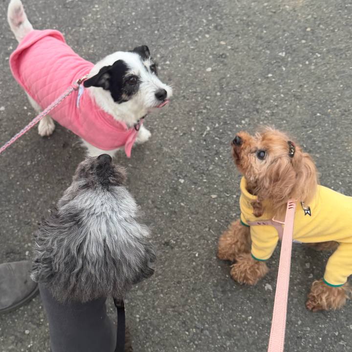 5b08d32b fa32 41ed 9e8d 510defd7a245 1770940025583