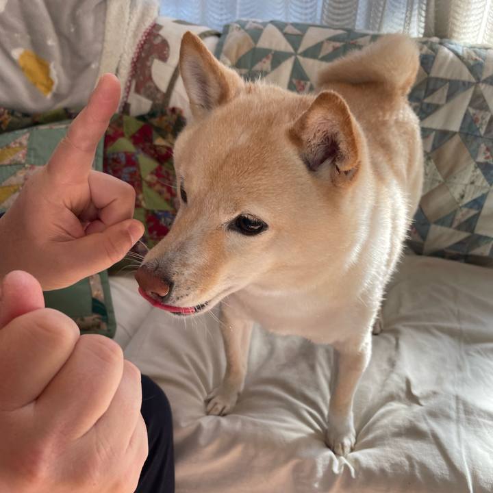 5b08d5e6 1a61 4f77 9884 f4eb87b42874 1702088263290