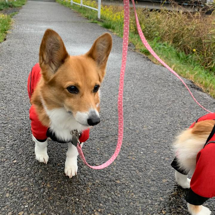 5b08e26b 1c94 4ab7 9451 5af9019a8510 1616313920767