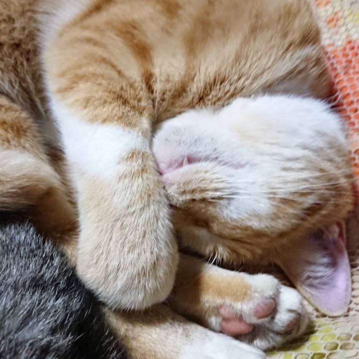 5b08f5d2 cc99 4c36 818e 5eb0e2745236 1572871229487