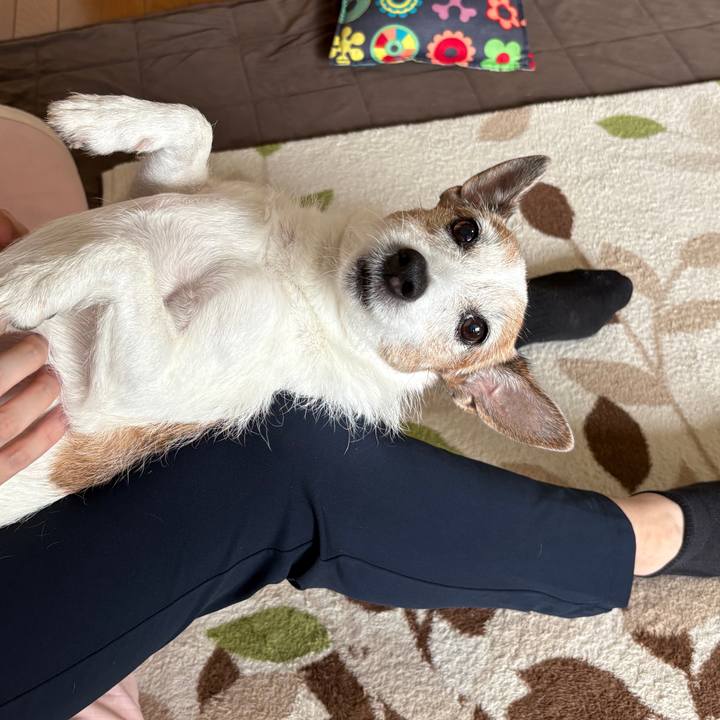 5b08ff2e cec8 4ccd 9c52 ac1795031cbb 1757978972899