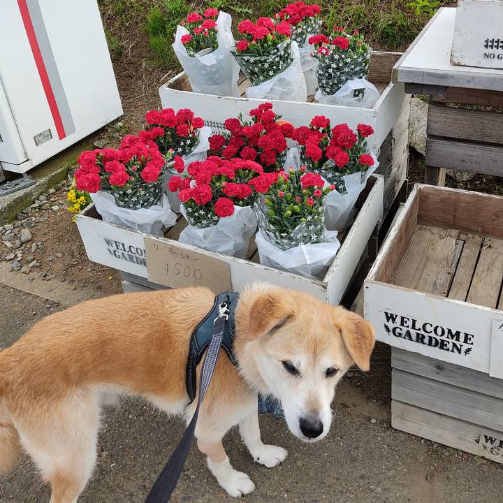 5b092214 946d 4bf0 aef5 45171d6a83db 1651827999973