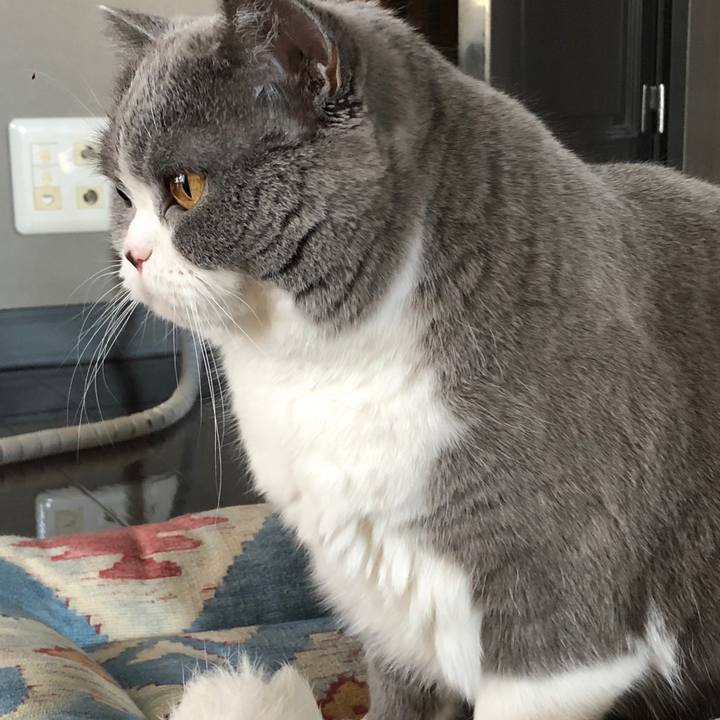 5b097710 6a48 48c9 92db 08418226b992 1518938451301