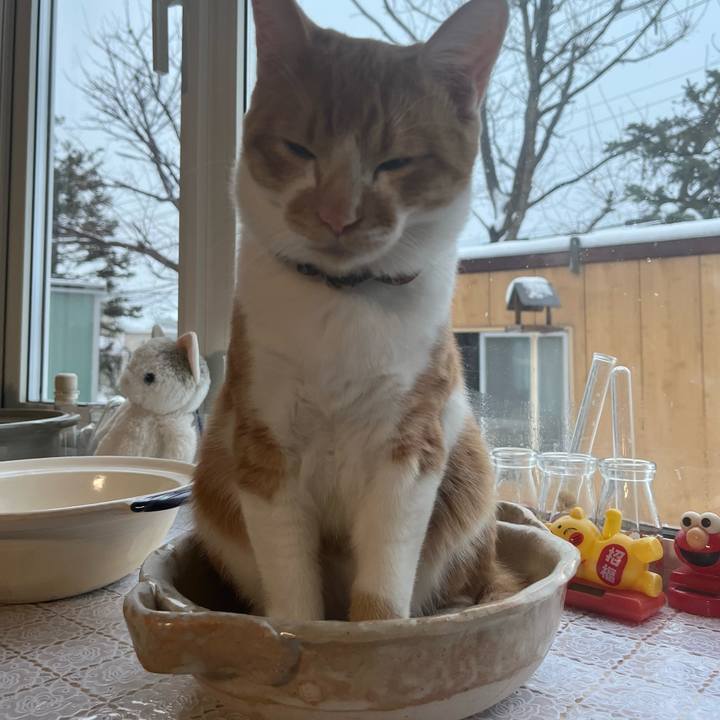 5b098213 06f0 4c84 9d49 3cbdac677044 1672007426625