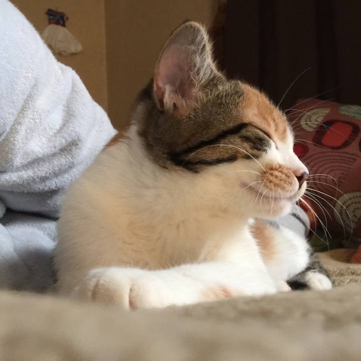 5b098d7f a94e 415f a571 6ba875d57de8 1639453957896