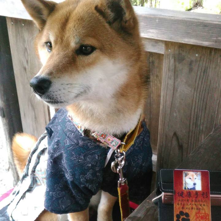 5b09cb8e 7f43 4037 b372 a2184bc57d60 1523690705836