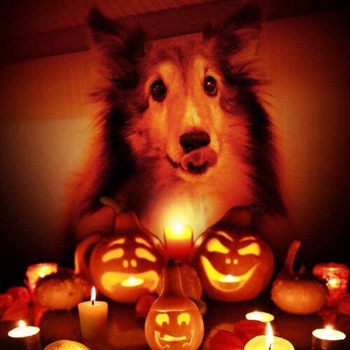 5b09e451 81e7 410f 8dc4 22066c35fce9 1540975603786