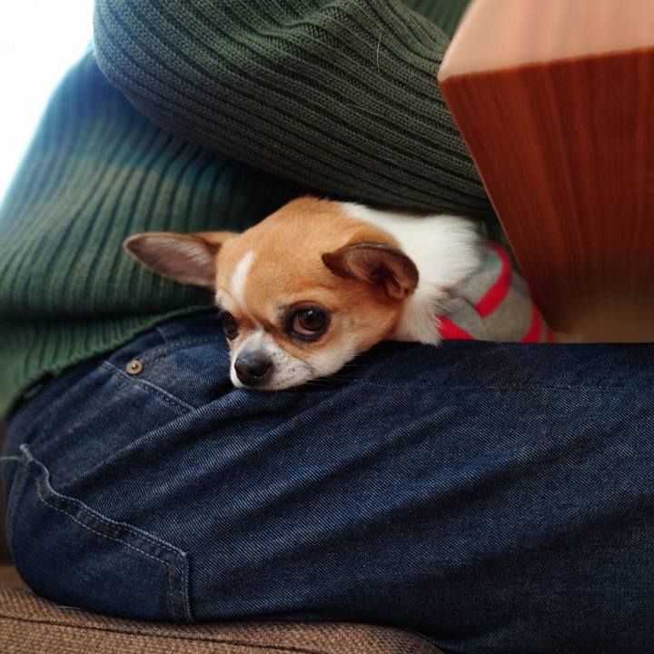 5b0a3dd6 5fb6 41da 9fbf 8163d8057924 1639299099074