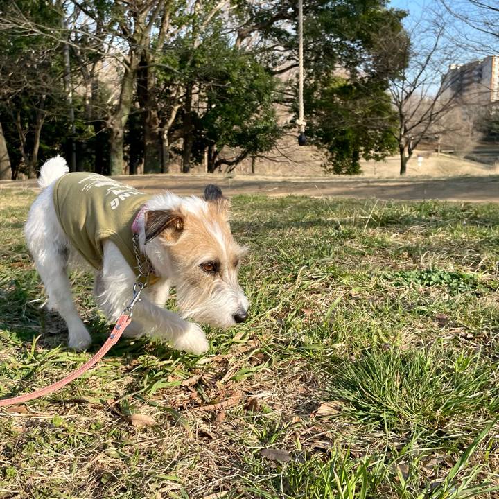 5b0a7653 029a 4654 888e cabdfc34ba22 1647332444515