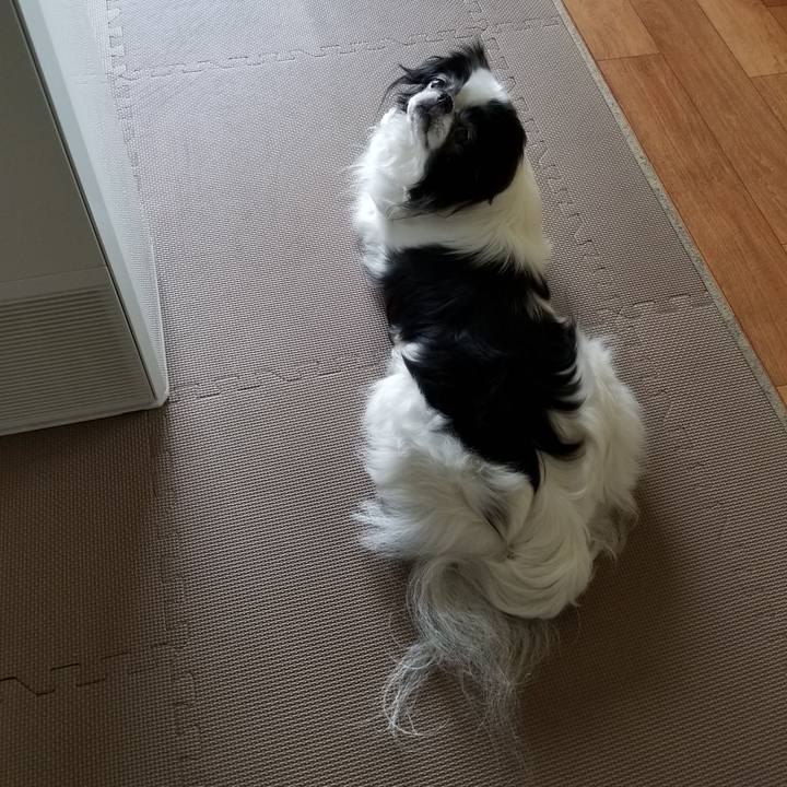 5b0a8005 900d 478d 9ad1 0f42161f5e3a 1556704377653