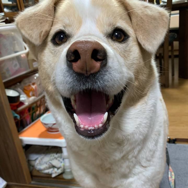 5b0afdd7 4cbf 4789 9a62 c09181fe49dc 1584108285452