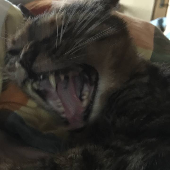 5b0b3f37 4d57 4a39 a31c 043928361704 1529585092575