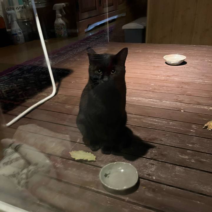 5b0b6191 974d 46e4 a813 19dad4bb5630 1760781004769