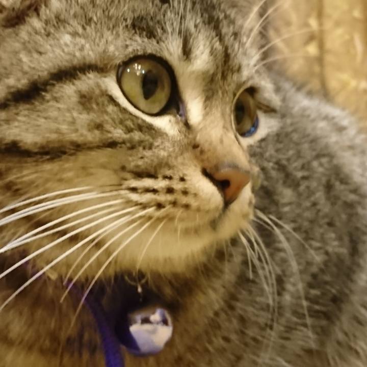 5b0b6510 6560 4657 9773 5ff6f7576dff 1550500919880