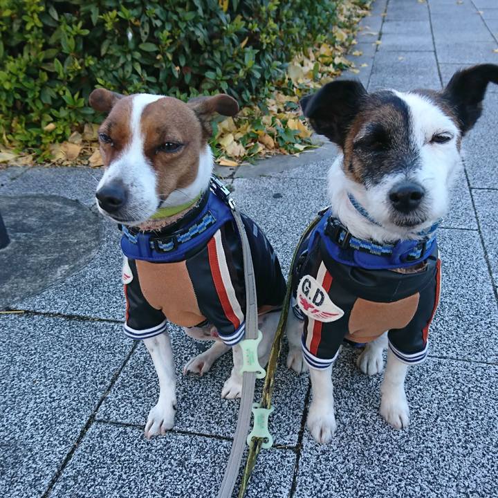 5b0b6794 9f8b 46b4 bde0 bf2ff1b218fb 1609370309150