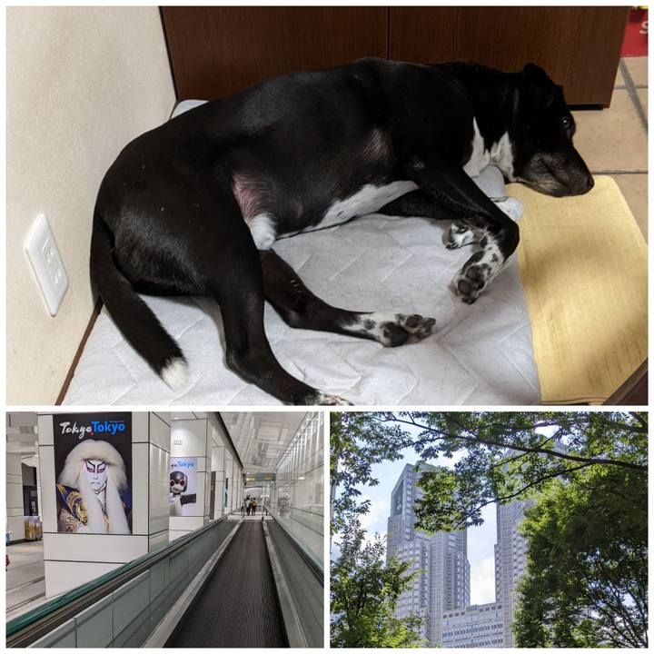 5b0b7158 2bd9 40ca 9fda 9143dba01efa 1661164895710