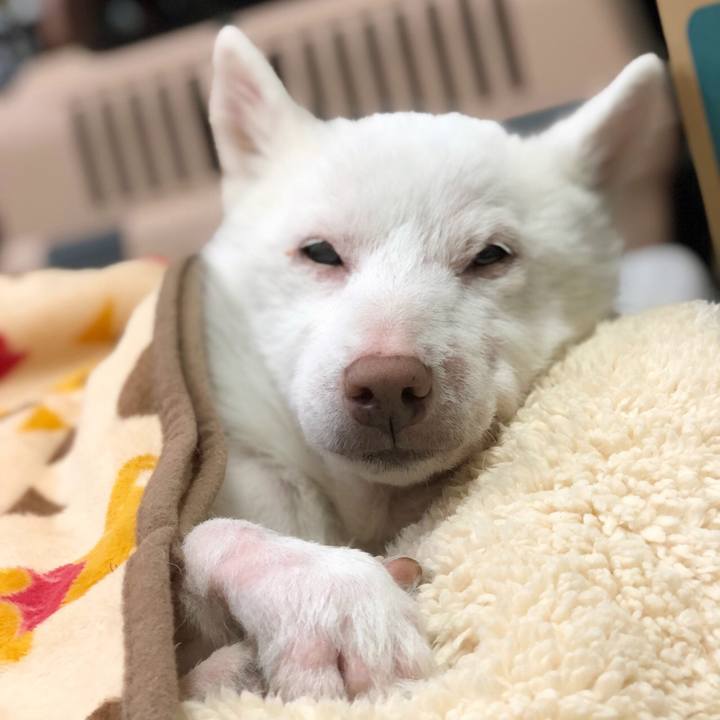 5b0b85ae 2594 4783 b0d5 7ad64b602c78 1605103937693