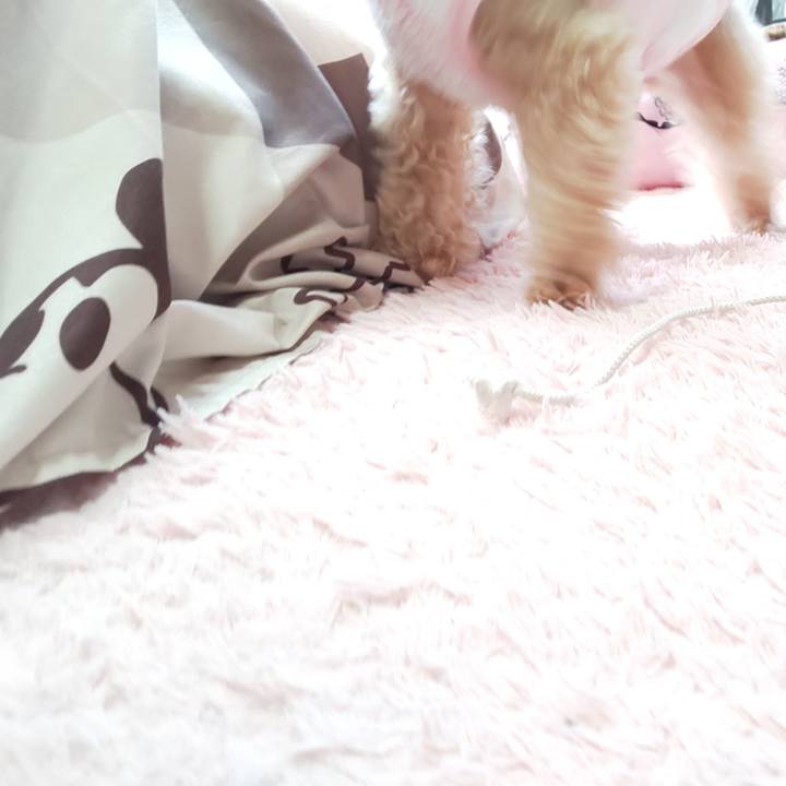 5b0b8e14 617f 40ab 9662 423dcc42516c 1580460675184