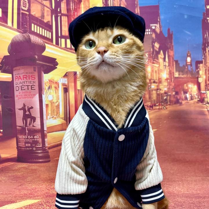 5b0bb063 bab2 449d 9eb0 2030343b7a98 1732685521848