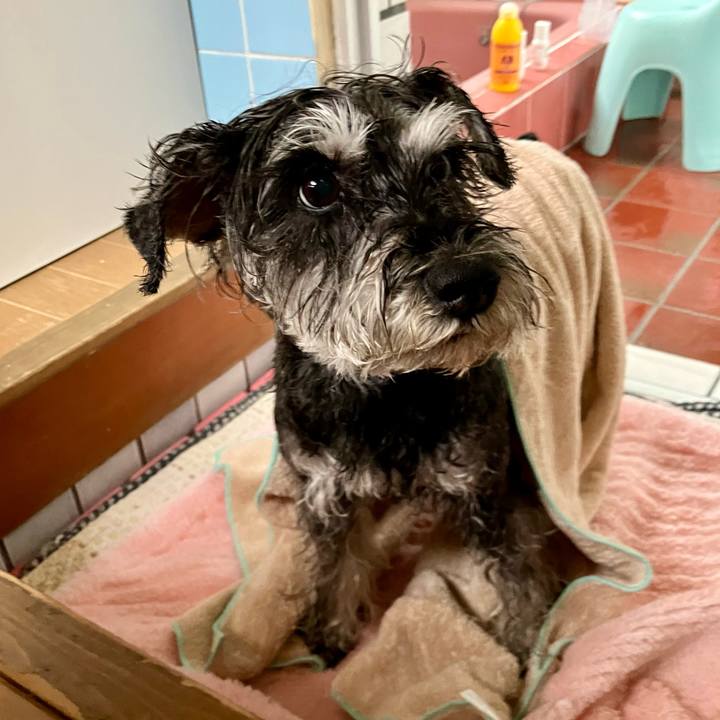 5b0bd832 20ab 488e 8141 34d3eb0d8923 1744245572383