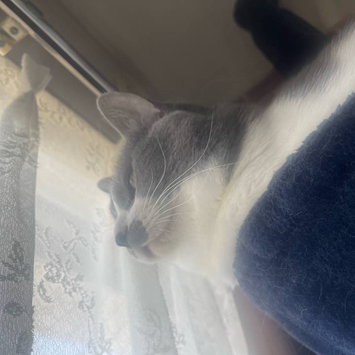 5b0bf3af 206e 4feb 9311 dbadf7d56f68 1681084659197