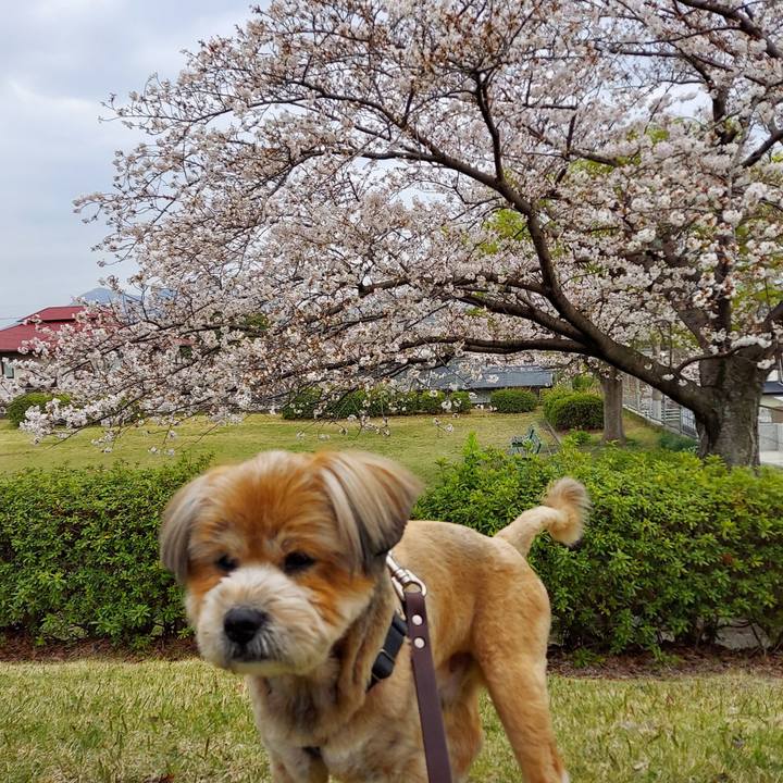 5b0c196b 7b33 4e34 a977 a416881f1d08 1679927845524