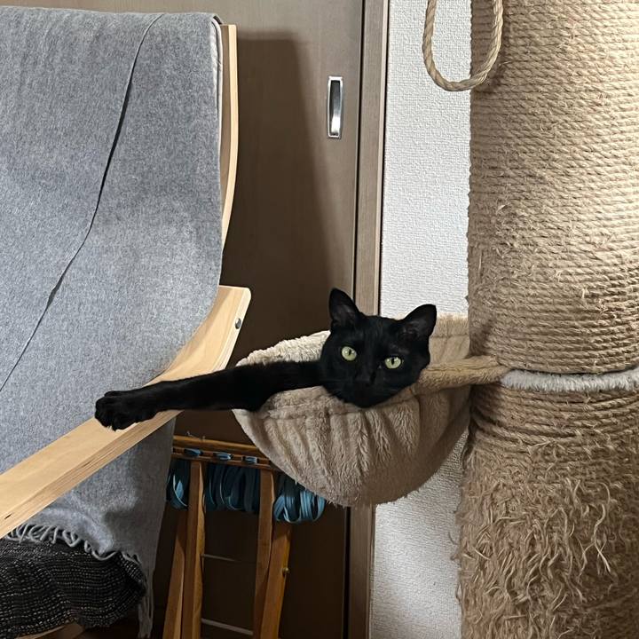 5b0c40b4 25fc 4de4 bd98 dc48fbf5c148 1683245624451