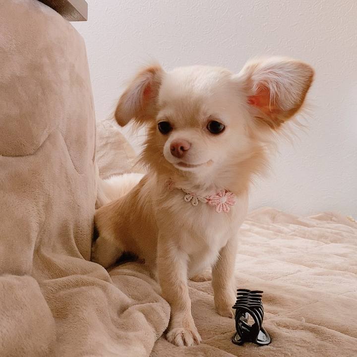 5b0c510e dbde 489e aa03 223af42503b1 1614926701961