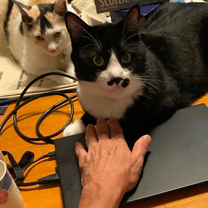 5b0c6309 28fa 4123 ac06 88466010d2b4 1695646470902