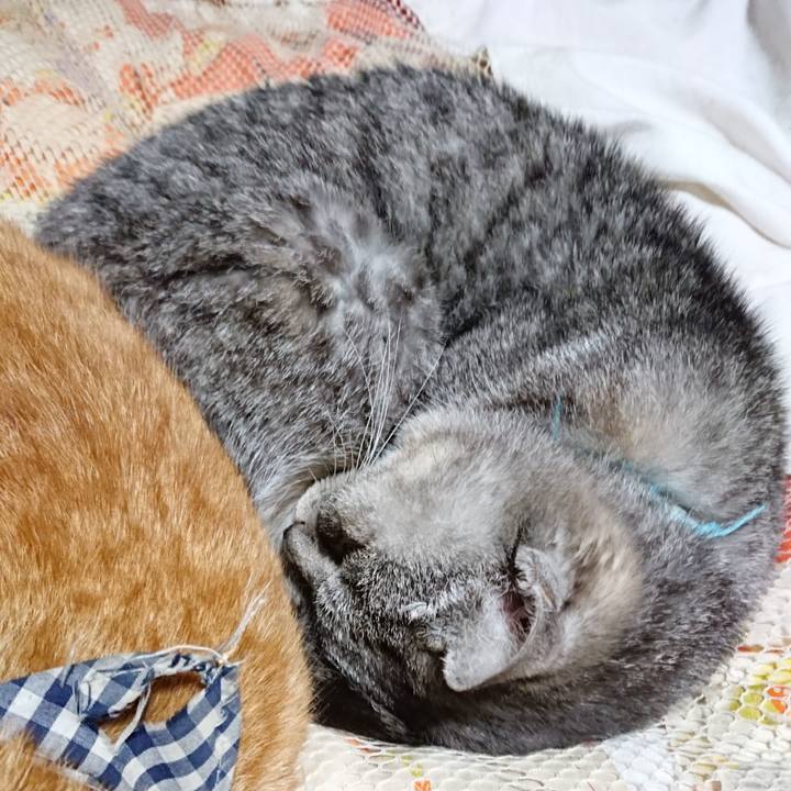 5b0c779d c319 4b5b a6cc e48cb8c63fc5 1574164749939