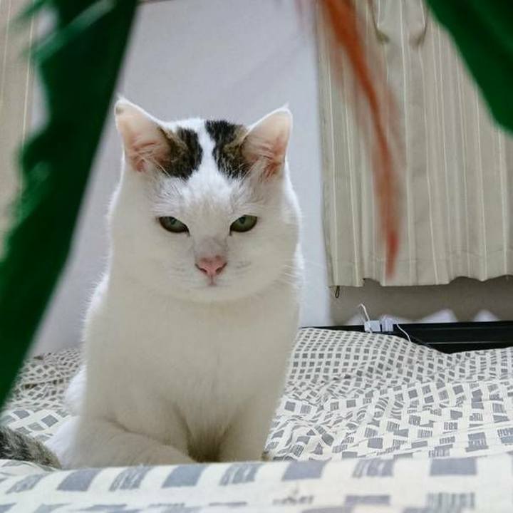 5b0c7b53 e033 4b75 b867 5b4fc80bfbe3 1509550091777