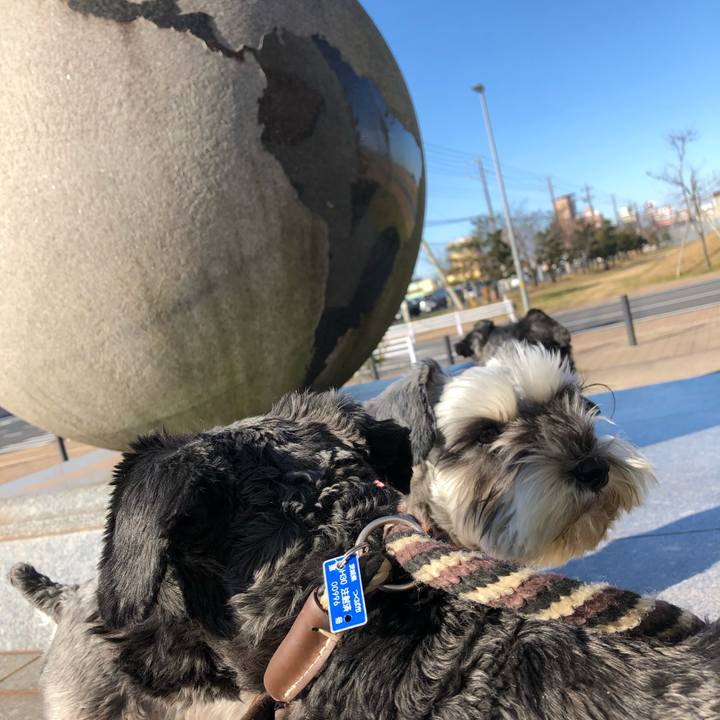 5b0c8fe0 4fbd 437a bb93 4ba010aec190 1546223317102