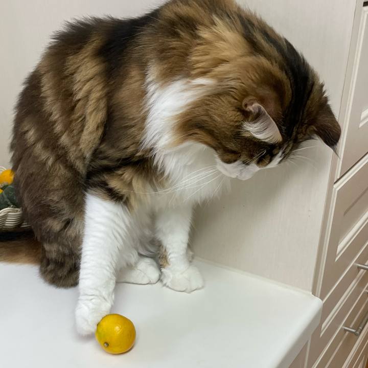 5b0cb430 a802 4e98 882a 3df8983a0b91 1665784720002