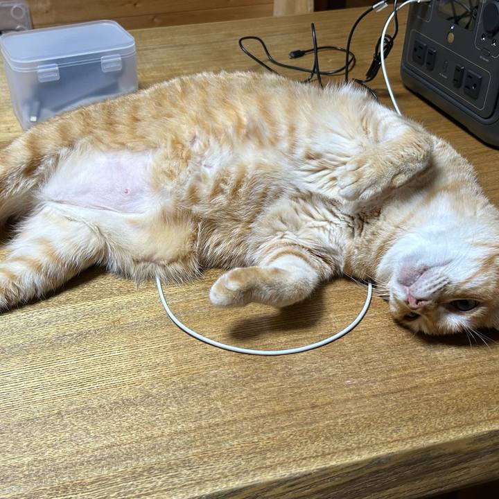 5b0cd62b 3093 43a9 8459 37e25cc1f4b0 1688647576209