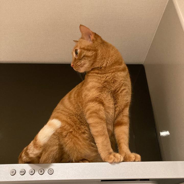 5b0ce492 9d4b 46b3 ae65 51fa2ceaa8f2 1614338700074