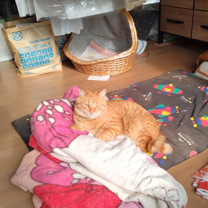 5b0d040c 432c 4655 bb33 bd74fb727d7d 1668934144231