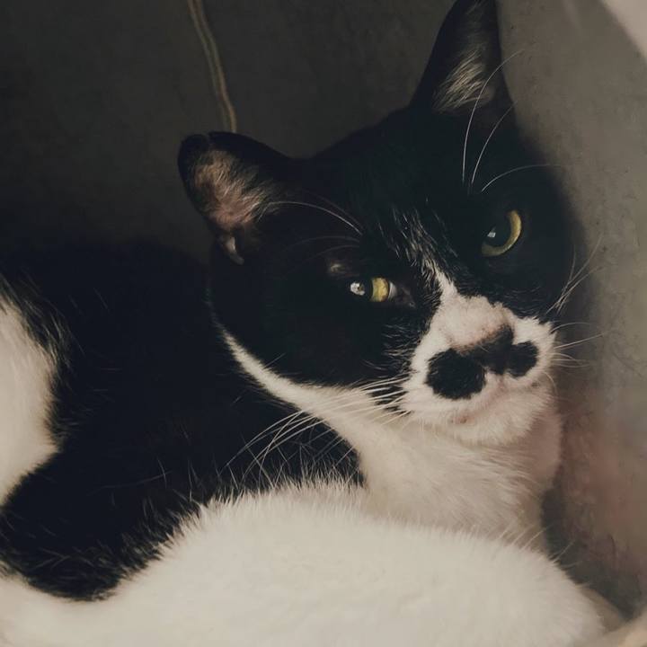 5b0d55cb 4fe8 4a9b b7f0 220d49c07805 1680564987638