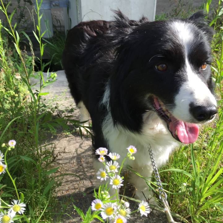 5b0d6620 61a1 430a 8fa3 650e56aa1b92 1526339451744