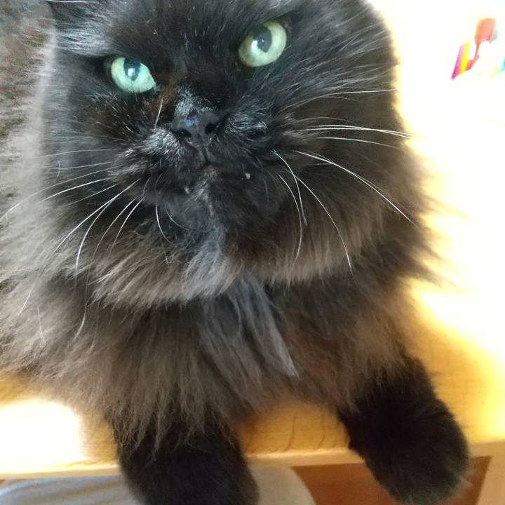 5b0d6627 b686 4288 9706 49cbc60cd1c4 1663575372665