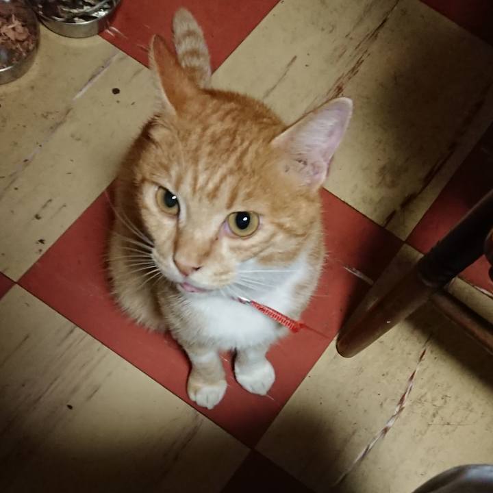 5b0d6aa4 ea38 495d a47f e15b287a8bcc 1570190474603