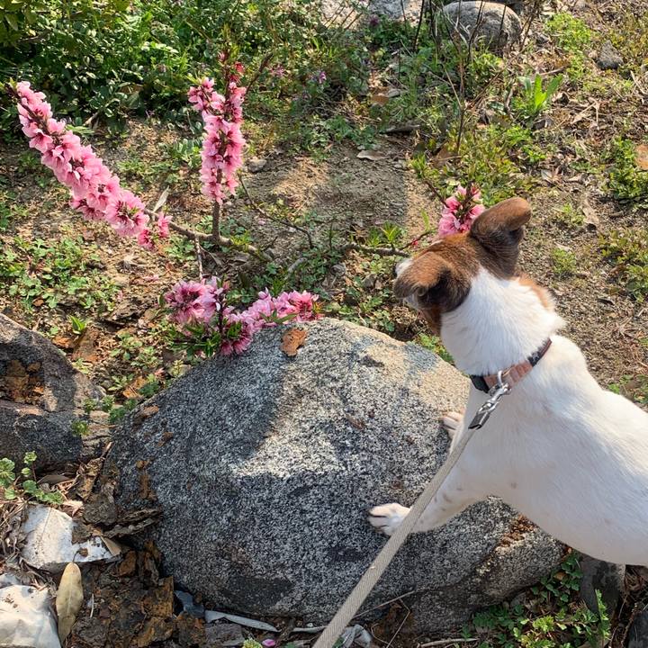 5b0dc27a 59d0 4d8b 84f6 ad20bb5553ef 1554513398619