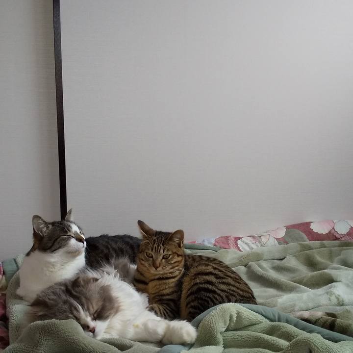 5b0e0951 6d86 4ba1 809a 12d61bde16ef 1647924257720