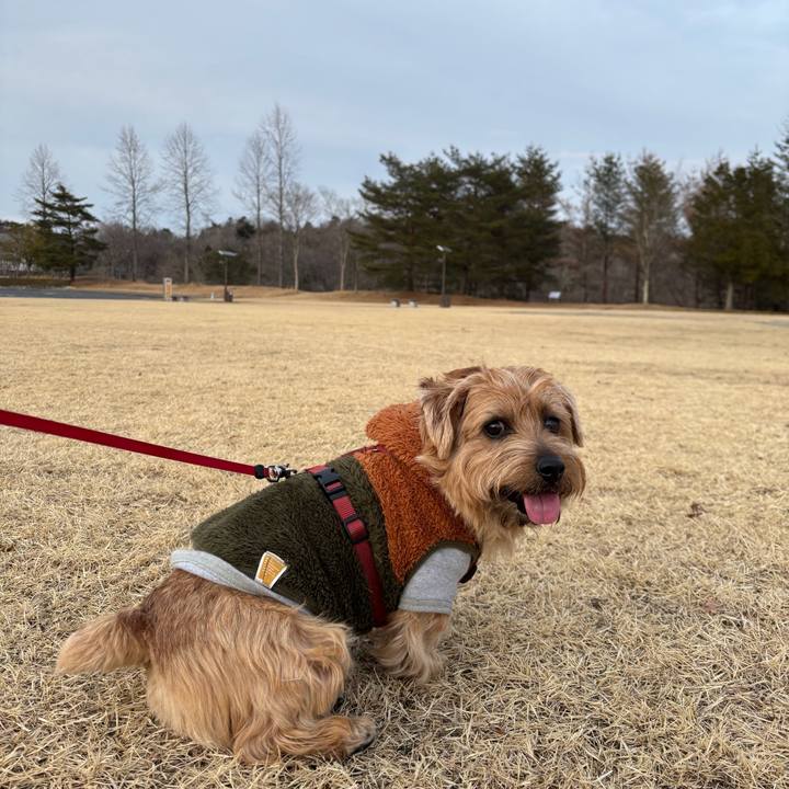 5b0e19e5 812c 4de3 a0a7 bb7c8ab18ab2 1762689831749