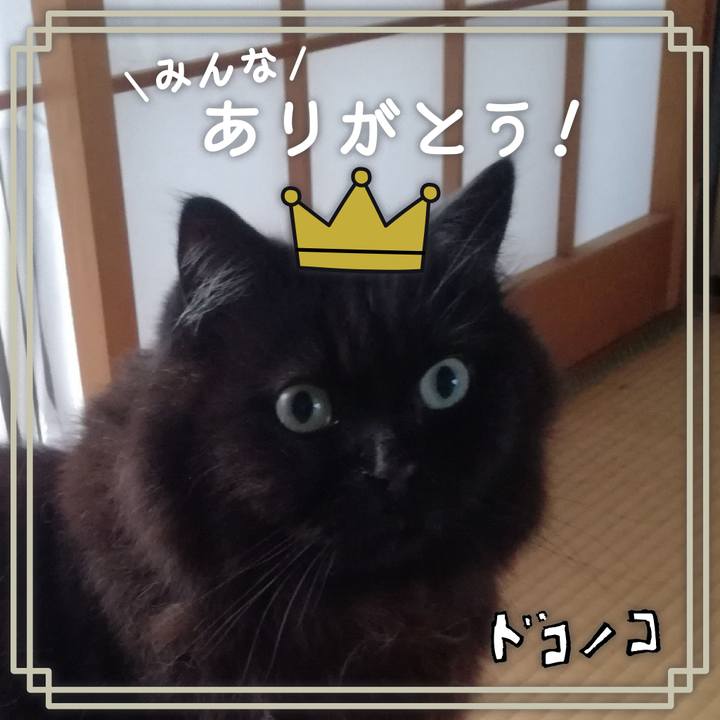 5b0e35f5 fe51 408d 9fd1 4e98df9379c5 1622870152947